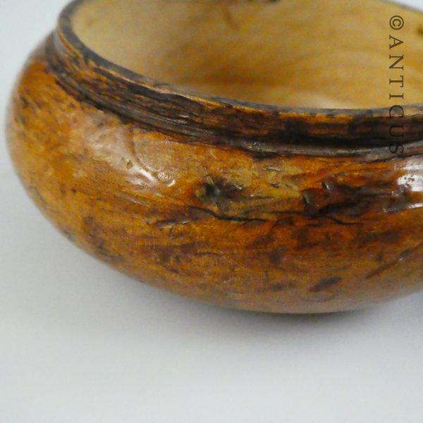 Small Round Poker-Work Box, Kiwiana.