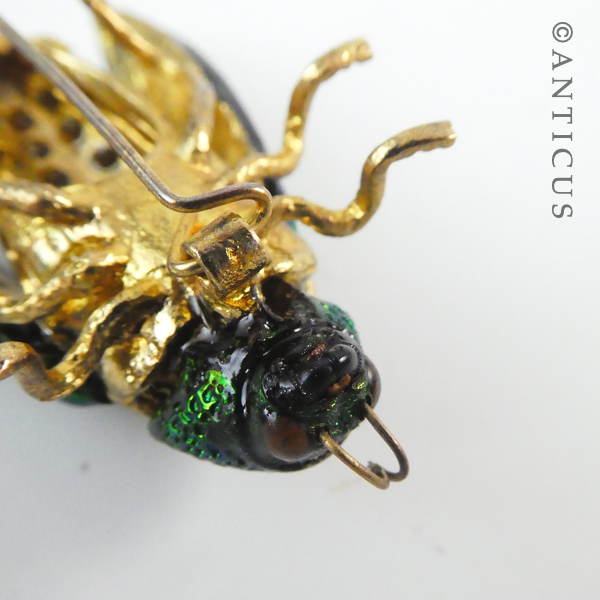 Modern Real Elytra Beetle Brooch, Plated.