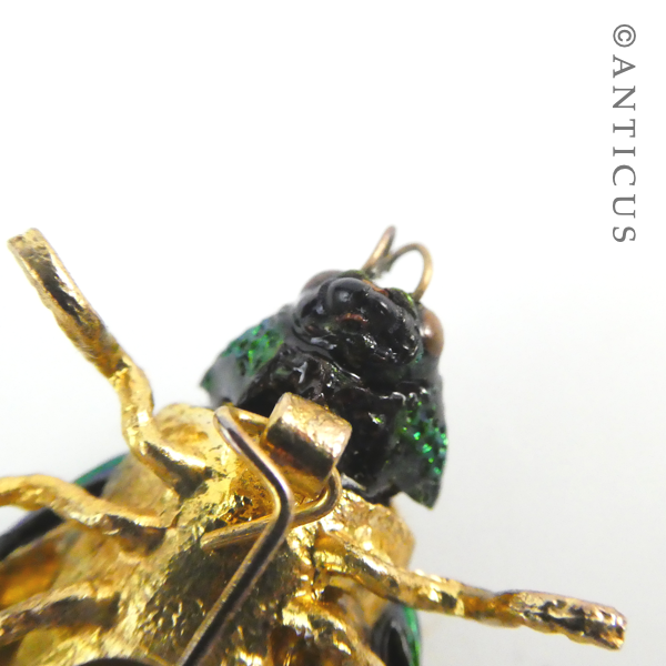 Modern Real Elytra Beetle Brooch, Plated.
