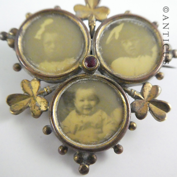 Irish Three-Photograph Shamrock Brooch.