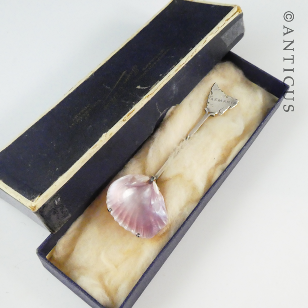 Australian Sterling Silver and Shell Sugar Spoon.