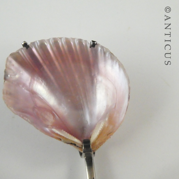 Australian Sterling Silver and Shell Sugar Spoon.