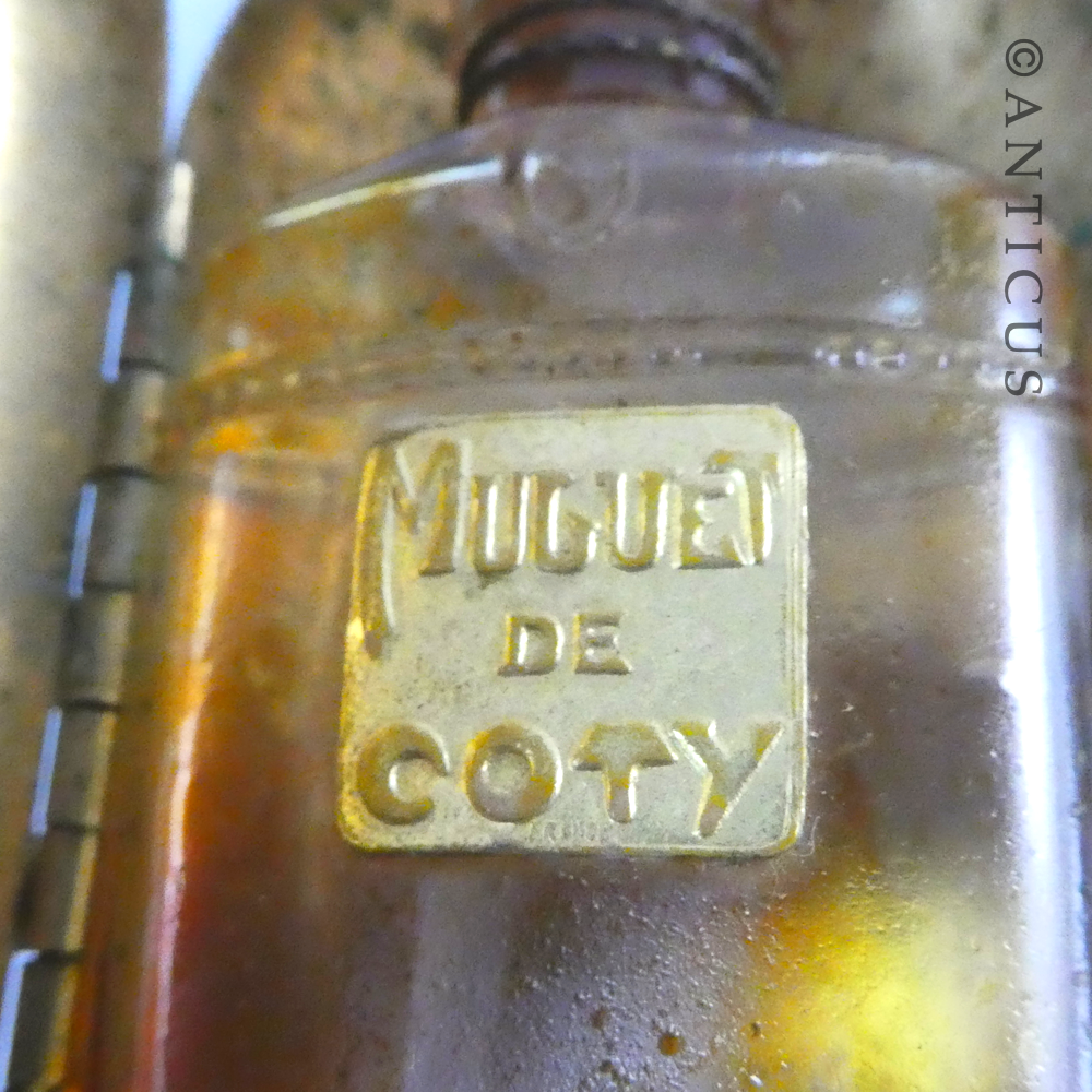 Vintage Coty Perfume Bottle in Case.