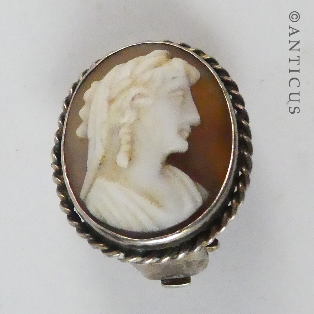 Pair of Well-Carved Cameo Earrings.