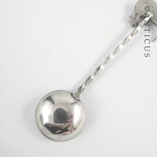 Small Mustard or Salt Spoon, with Kiwi Finial.