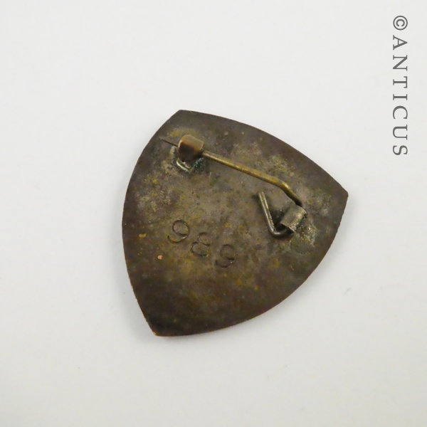 Vintage BadgeEnamel Badge, Kiwi.