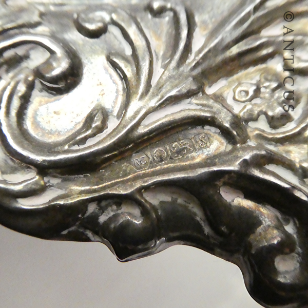 Sterling Silver Photo Frame Overlay.