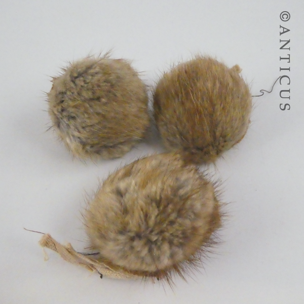 Three Fur Buttons.