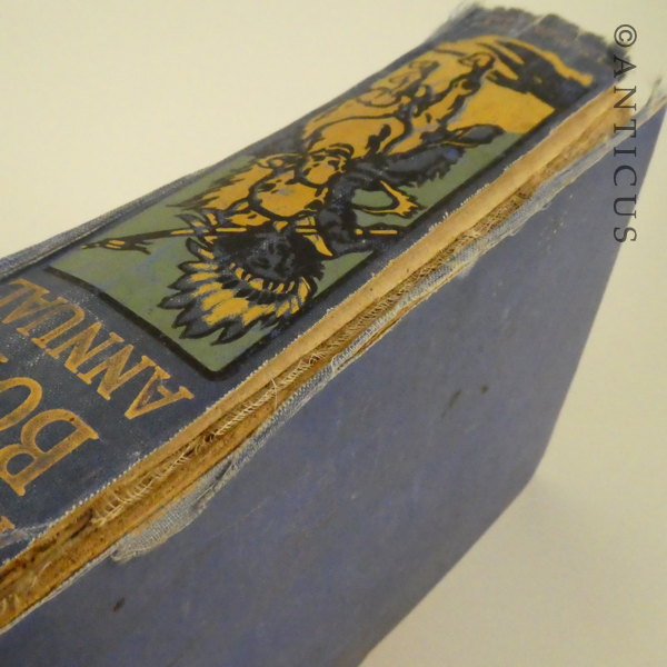 Vintage Australasian Boy's Annual.