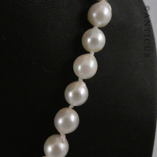 Pearl Necklace with Silver Gilt Clasp.
