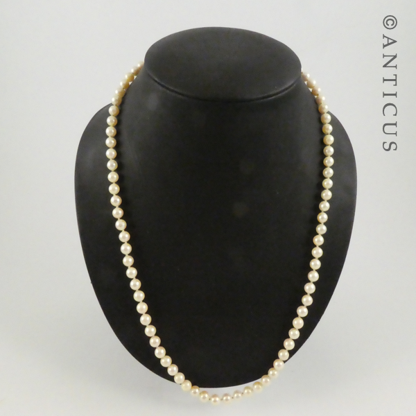 Cultured Pearls Necklace with Silver Clasp.