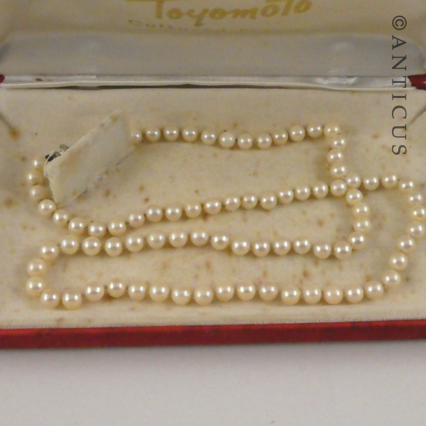 Cultured Pearls Necklace with Silver Clasp.