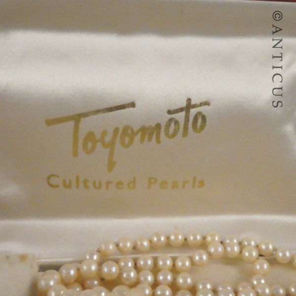 Cultured Pearls Necklace with Silver Clasp.