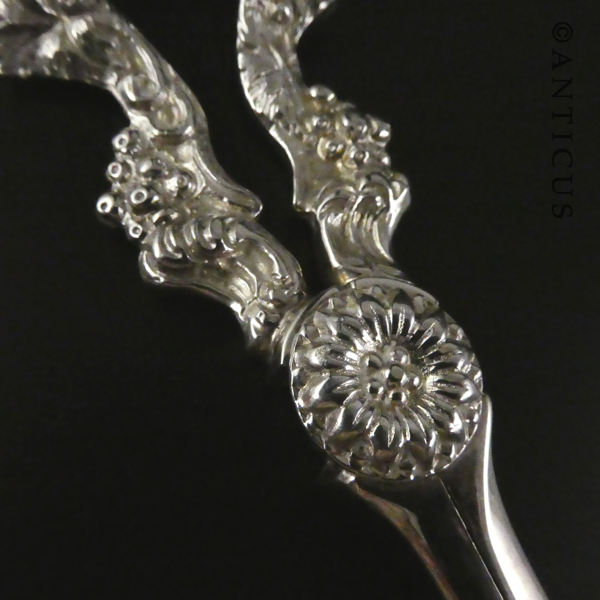Grape Scissors, Silver Plate.