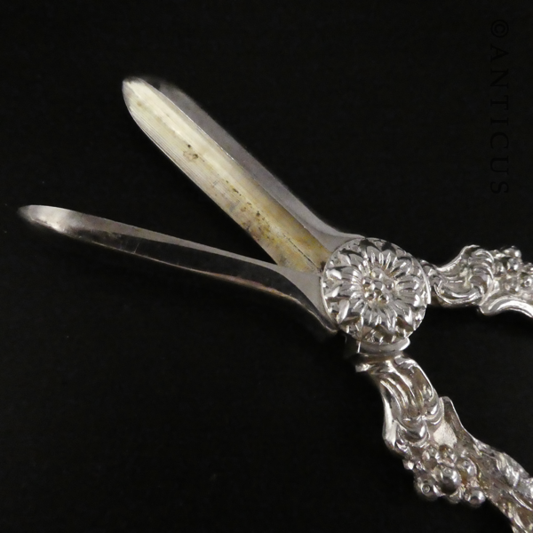 Grape Scissors, Silver Plate.