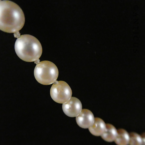 Cultured Pearl Necklace, Silver Clasp.