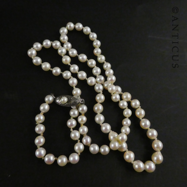 Cultured Pearl Necklace, Silver Clasp.