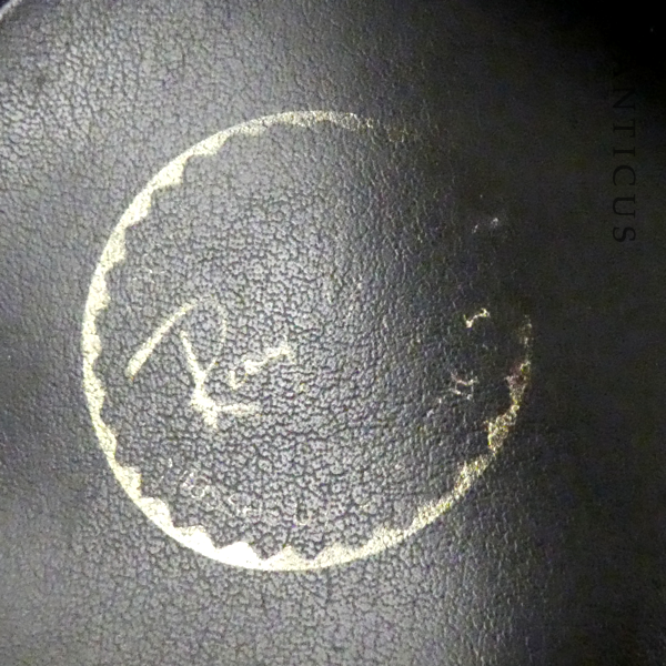 Ray-Ban Sunglasses with Original Case