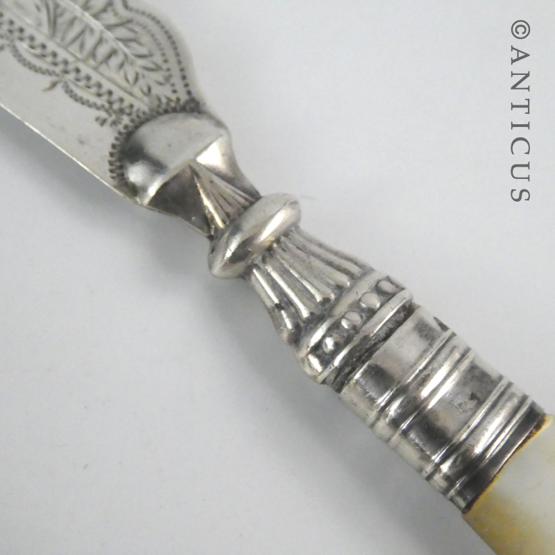 Antique Silver and Mother of Pearl Butter Knife.