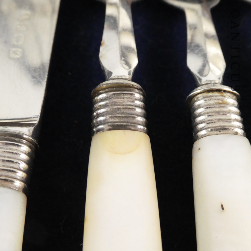 Antique Ten Piece Boxed Fruit Knives and Forks.
