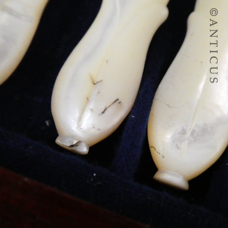 Antique Ten Piece Boxed Fruit Knives and Forks.