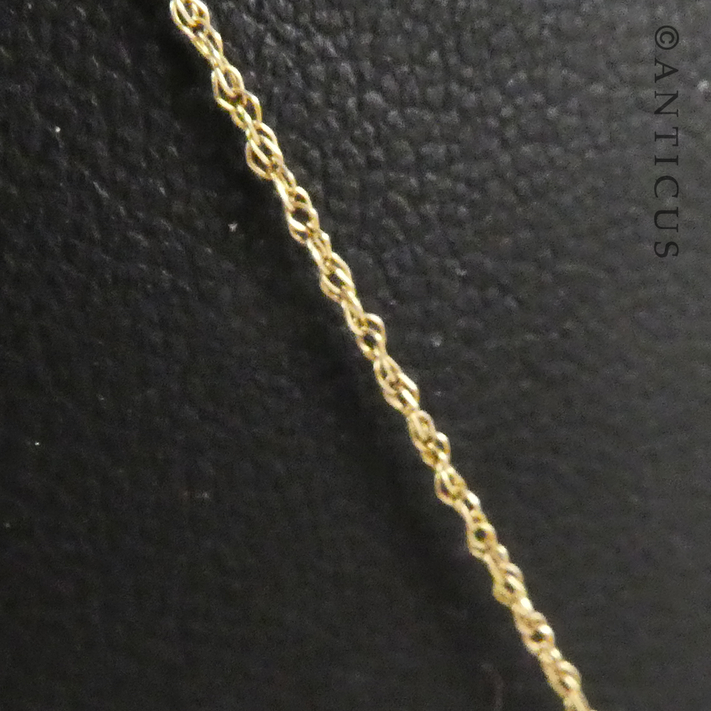 Gold and Enamel Victorian Locket on Chain.