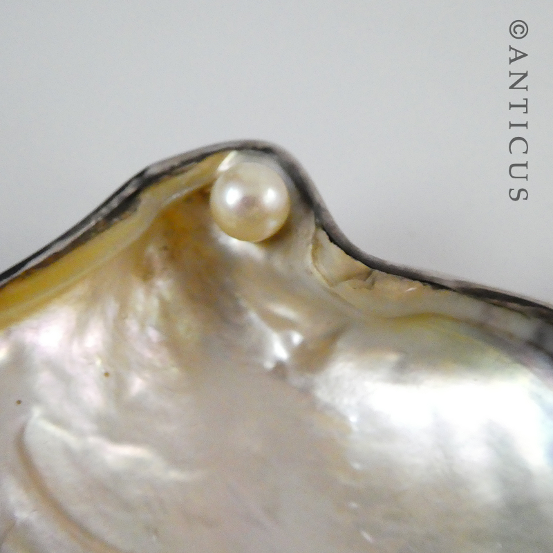 Pair of Silver and Mother of Pearl Salt Dshes.