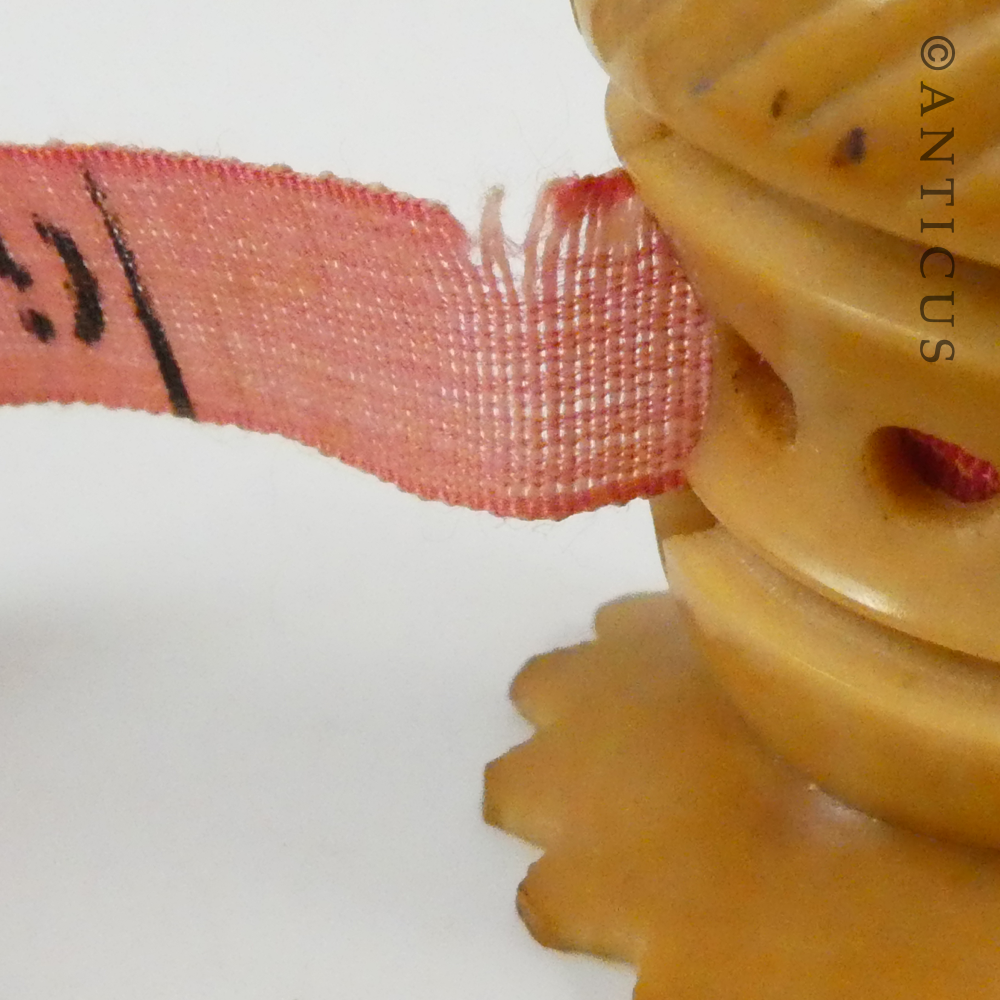 Antique Coquilla Nut Tape Measure Case.