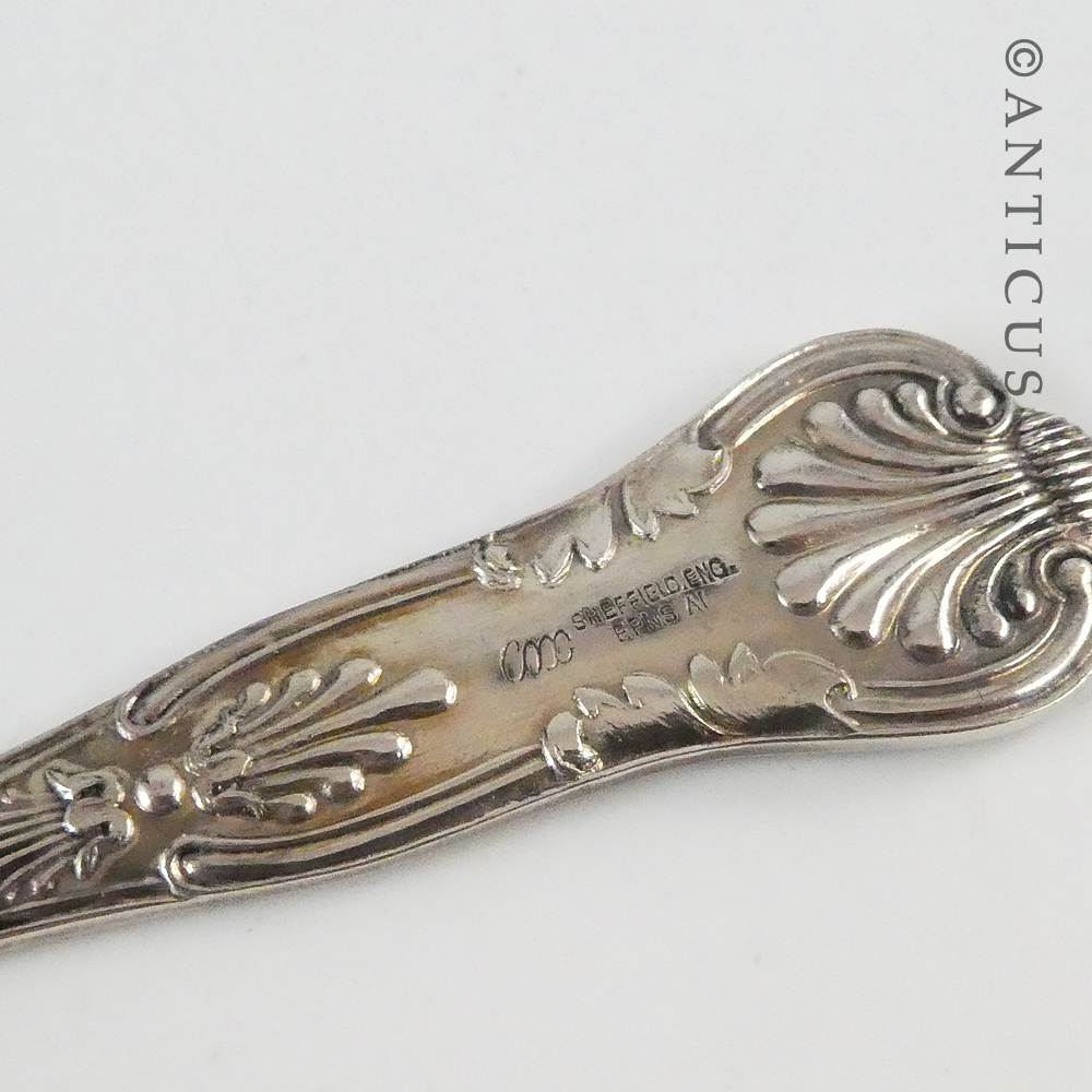 Small Embossed Berry Spoon, Silver Plate.