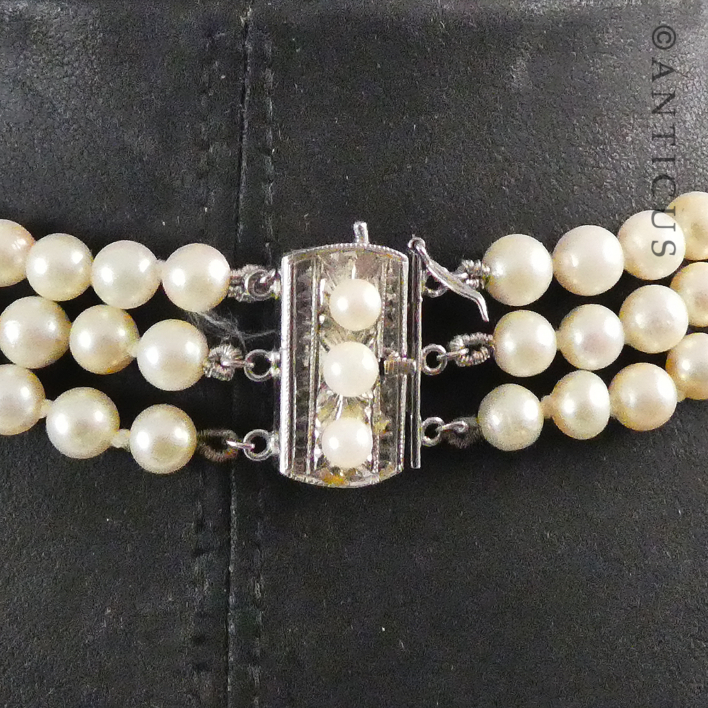 Three Strand Cultured Pearl Choker Necklace.