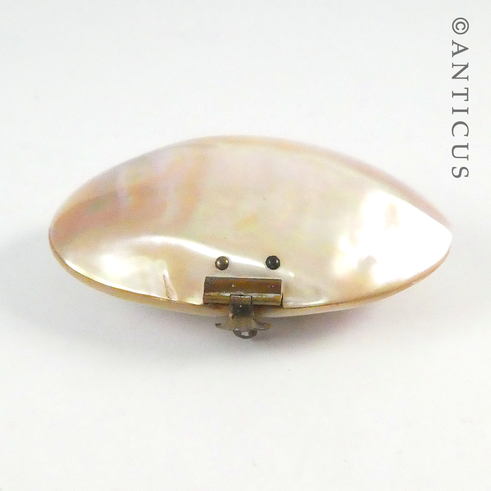 Little Mother of Pearl Shell Trinket Box.