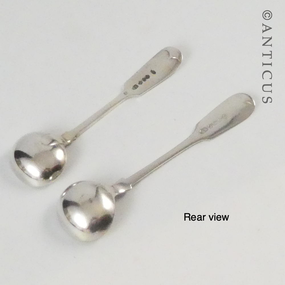 Two Victorian Salt Spoons.