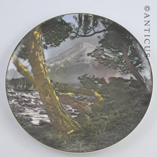Royal Doulton Mt Egmont Plate, New Zealand.