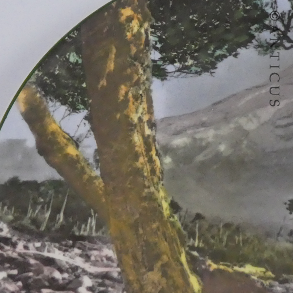 Royal Doulton Mt Egmont Plate, New Zealand.