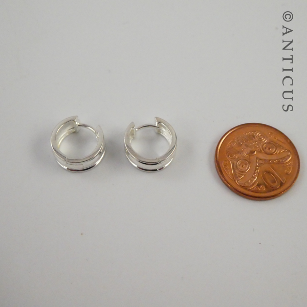Little Silver Hoop Earrings.
