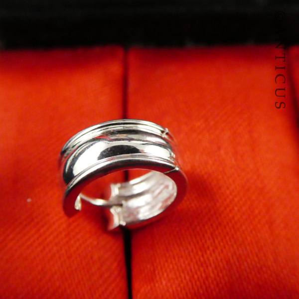 Little Silver Hoop Earrings.