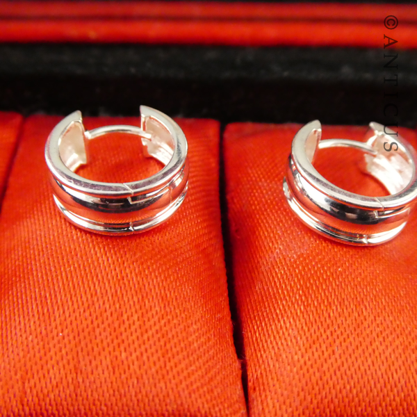 Little Silver Hoop Earrings.