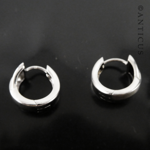 Sterling Silver Small Hoop Earrings.