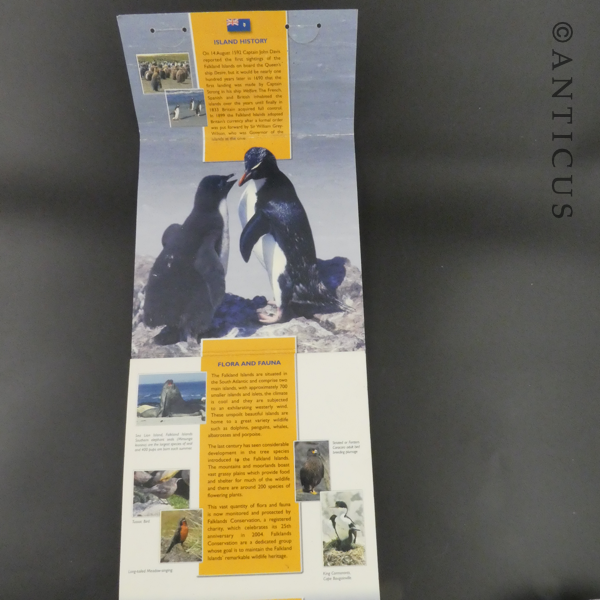 Falkland Islands 2004 Coin Collection.