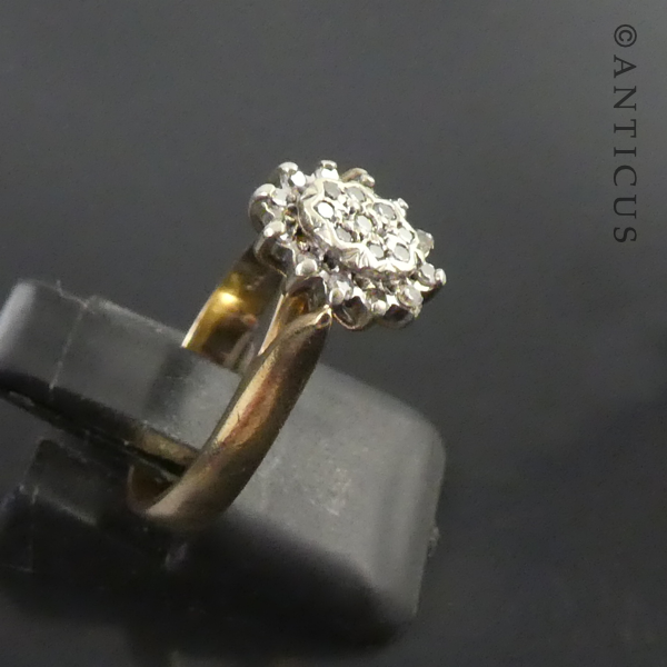 Pretty Gold and Diamond Cluster Ring.