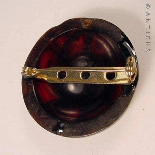 Tortoiseshell Pique Brooch.