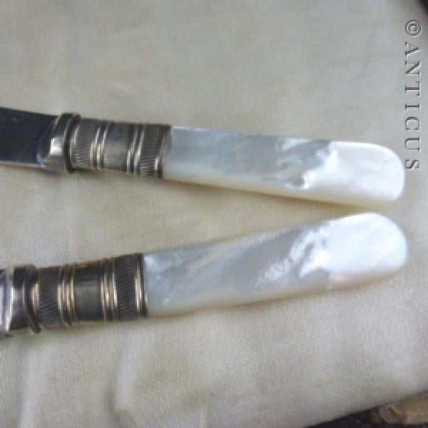 Cased Set of Mother of Pearl Handles Pâté Spreaders.