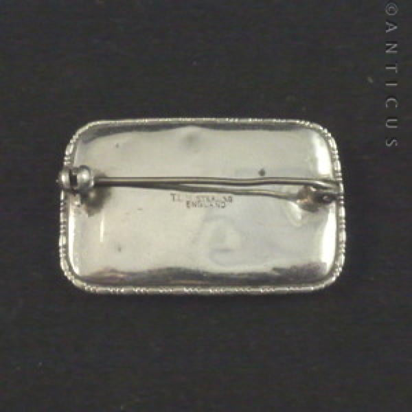 Large Butterfly Wing Brooch, Silver Mount.