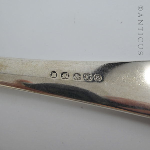 Edwardian Silver Plated Pie or Basting Spoon.