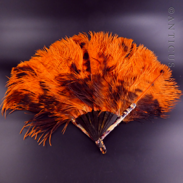 Orange Ostrich Feather Fan, Tortoiseshell Struts.