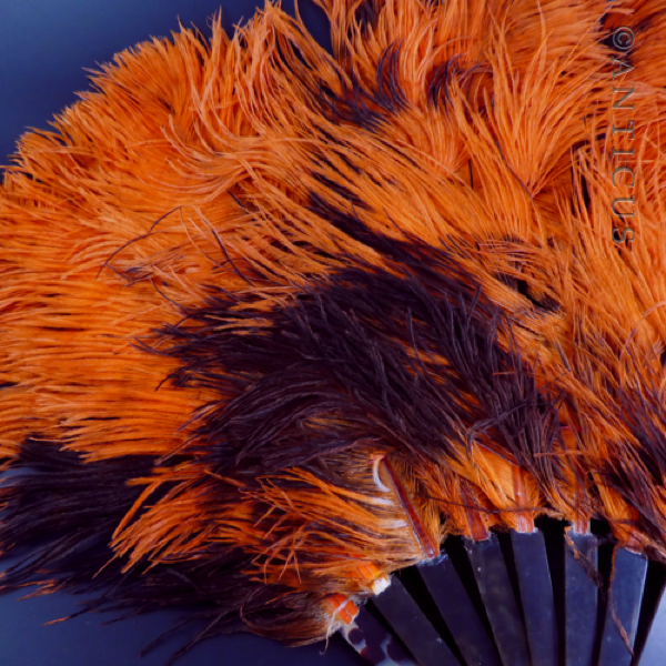 Orange Ostrich Feather Fan, Tortoiseshell Struts.