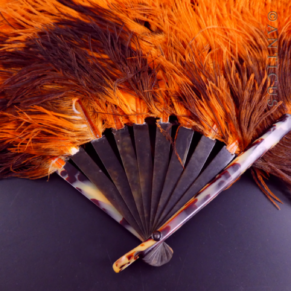 Orange Ostrich Feather Fan, Tortoiseshell Struts.