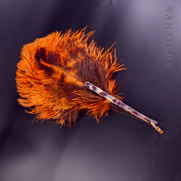 Orange Ostrich Feather Fan, Tortoiseshell Struts.