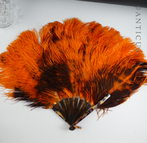 Orange Ostrich Feather Fan, Tortoiseshell Struts.