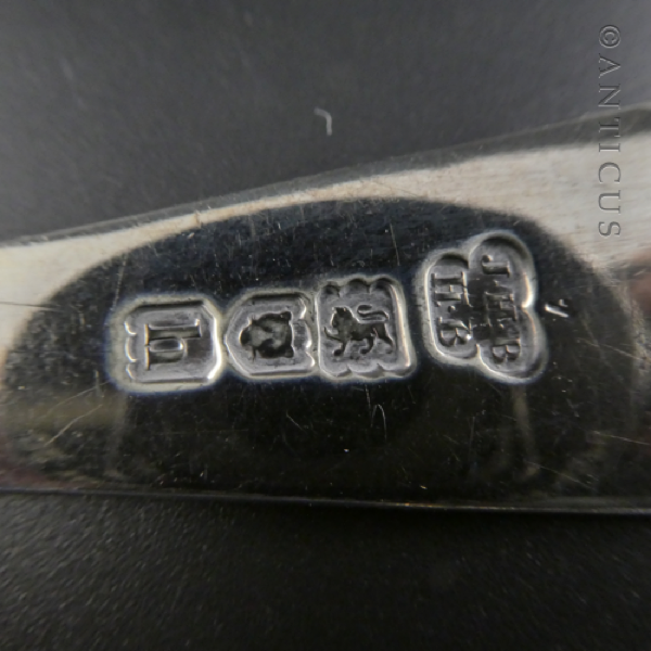 Silver Berry Spoon, London 1903.